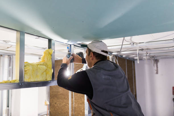 Best Insulation for Specific Applications in Bellwood, VA
