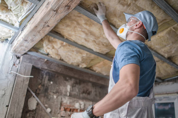 Best Insulation Maintenance and Repair in Bellwood, VA