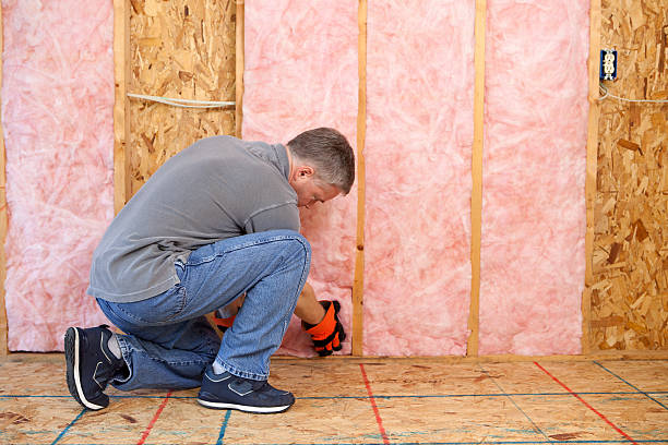 Best Types of Insulation in Bellwood, VA
